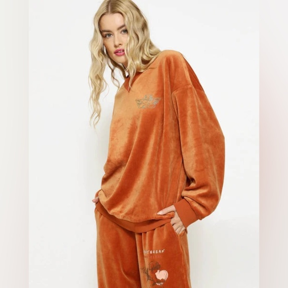 Boys Lie Gone Viral Velour Crewneck “Cinnamon” - Picture 2 of 7